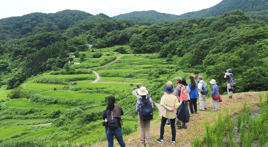 佐渡島の片野尾棚田